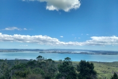 Rangitoto