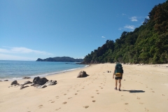 Abel Tasman