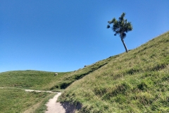 Grün, weiß und Blau