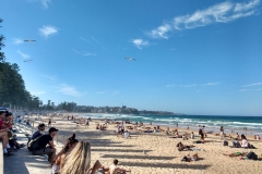 Manly Beach